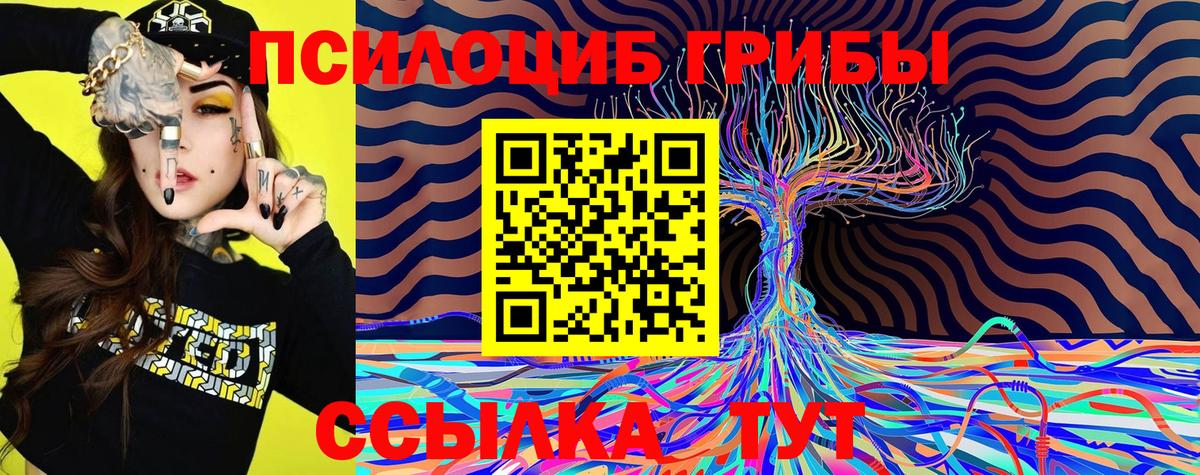 Галлюциногенные грибы MAGIC MUSHROOMS  Вход с VPN  Дубна 